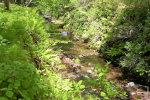 鹿島の森の北側に位置する深山別荘地を所有するステータスを貴方にの画像：NO.A170104-b6